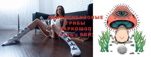 метамфетамин Богданович