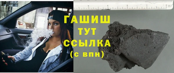 индика Богородицк