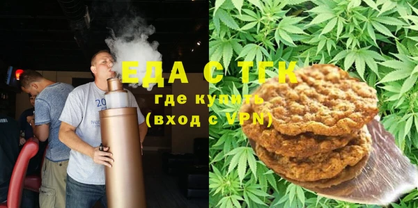 индика Богородицк