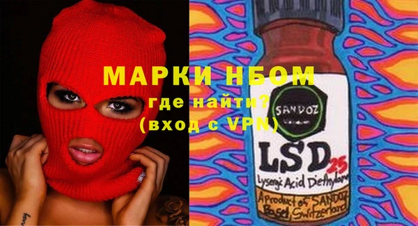 индика Богородицк
