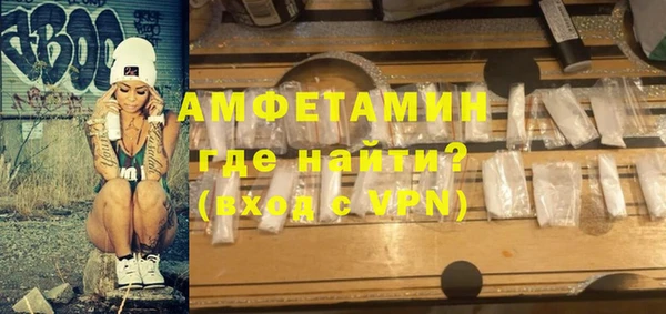 индика Богородицк