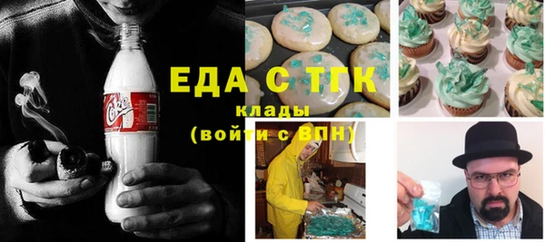 индика Богородицк