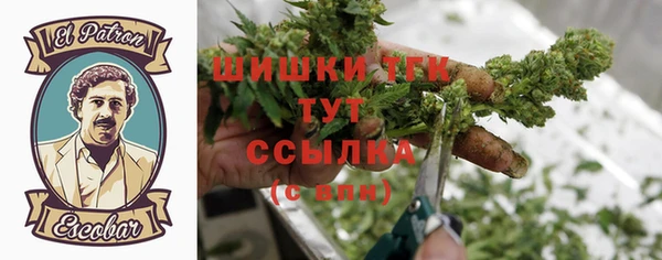 индика Богородицк
