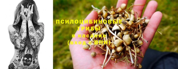 дживик Белокуриха