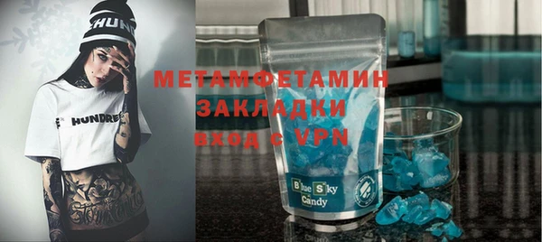 индика Богородицк