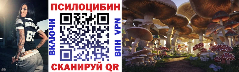 Псилоцибиновые грибы Cubensis  Ясногорск 